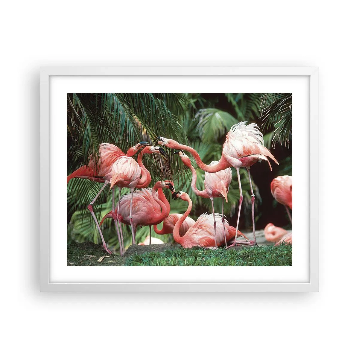 Póster en marco blanco - Cotilleos de la tarde - 50x40 cm