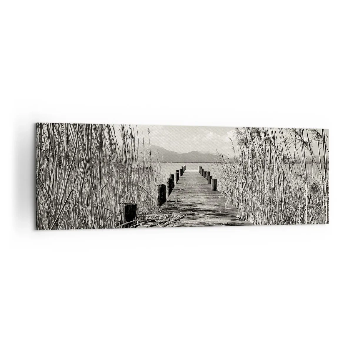 Cuadro sobre lienzo - Impresión de Imagen - Un embarcadero de madera entre hierbas altas sobre un lago de tonos sepia. - 160x50cm - En la quietud de los juncos - Decoración de pared moderna para salón y dormitorio ARTTOR
