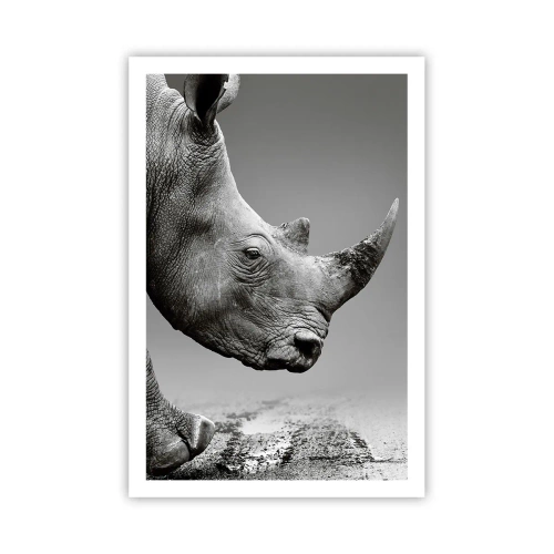 Póster - Fuerza imparable - 61x91 cm