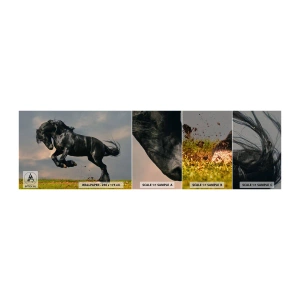 Muestra de fotomural autoadhesivo Deluxe Sticker - Hermoso y libre - animales, Caballo, Paisaje - 100x30 cm