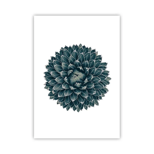 Póster - Estrella del desierto - 70x100 cm