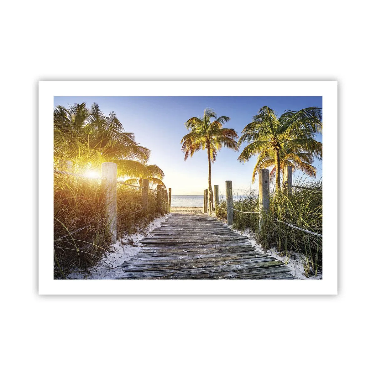 Póster - Directo al paraíso - 70x50 cm