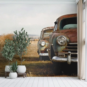 Fotomural personalizado Standard Eco - Un merecido descanso - Carro viejo, Automotor, Vintage