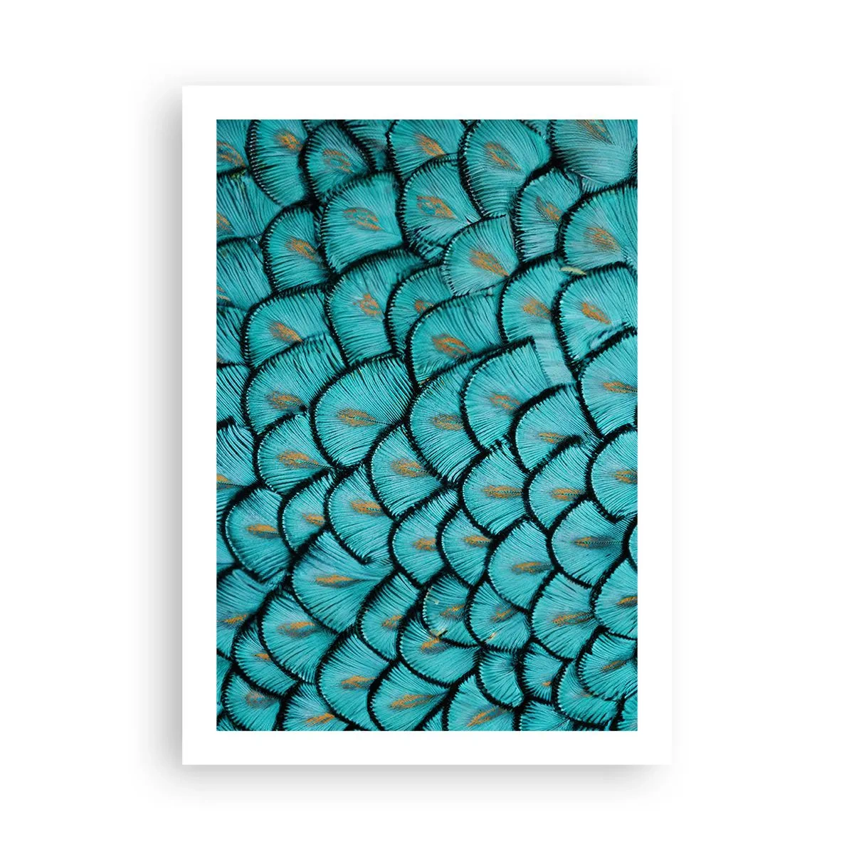 Póster - Fotografía macro de plumas turquesas con un patrón único. - 50x70cm - La gran gala de las plumas - Decoración de pared moderna para salón y dormitorio ARTTOR
