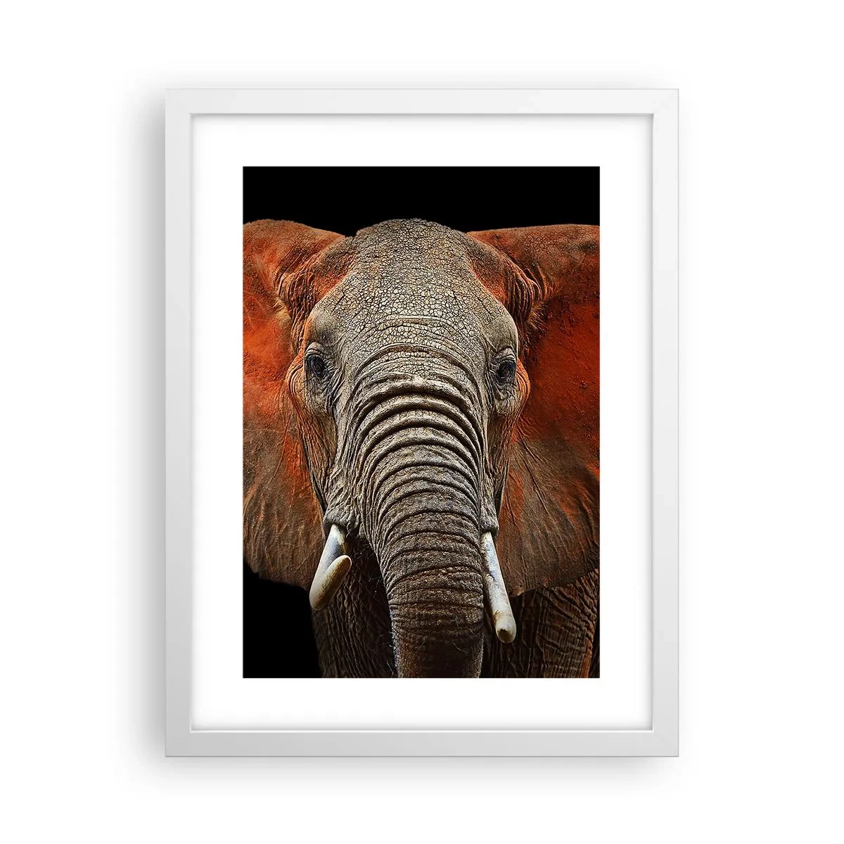 Póster en marco blanco - Soy salvaje, ¿y tú? - 30x40 cm