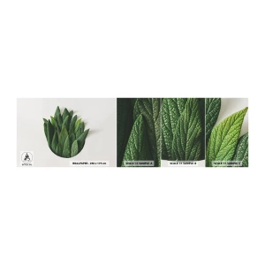Muestra de fotomural autoadhesivo Deluxe Sticker - Curiosidad desenfrenada - Sabio, hoja de salvia, hierba - 100x30 cm