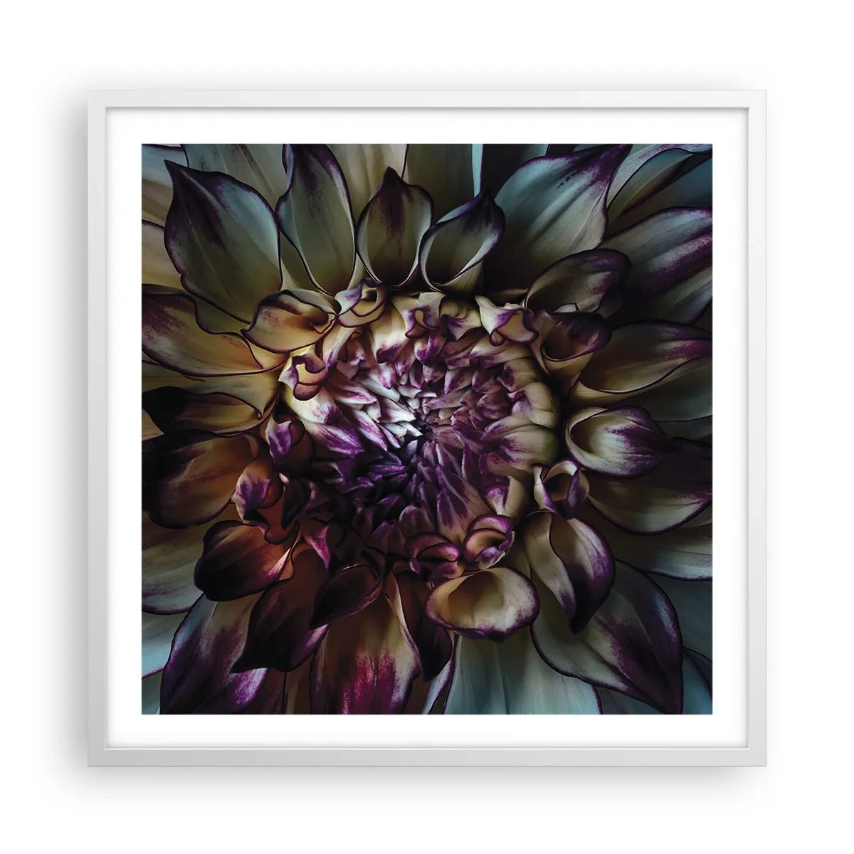 Póster en marco blanco - El florecimiento de la hermosura - 60x60 cm