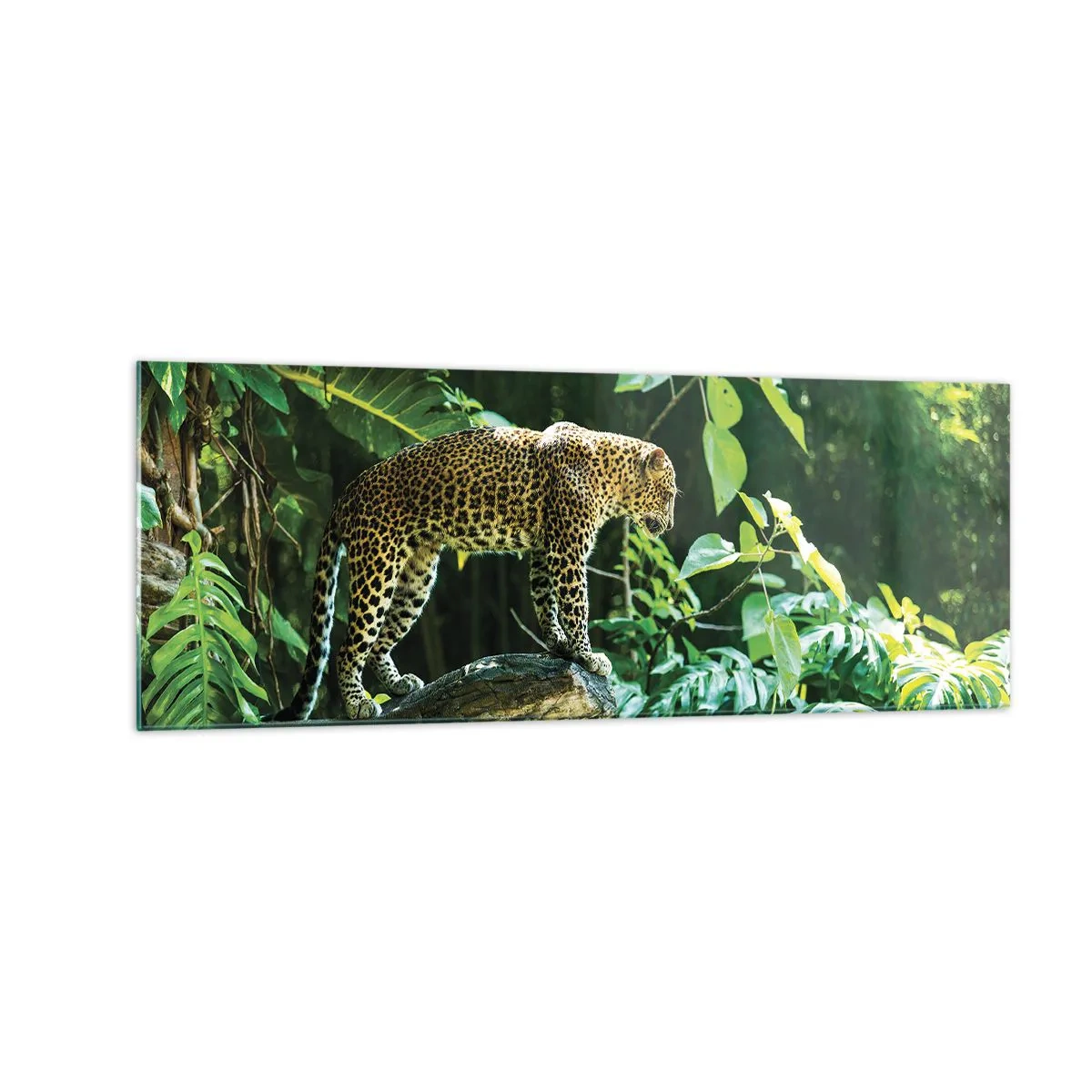 Cuadro sobre vidrio - Impresiones sobre Vidrio - Un leopardo de pie sobre una roca rodeado de vegetación tropical. - 140x50cm - ¿A la caza? - Decoración de pared moderna para salón y dormitorio ARTTOR