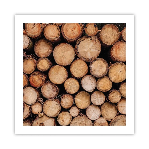 Póster - Un nuevo comienzo - 50x50 cm