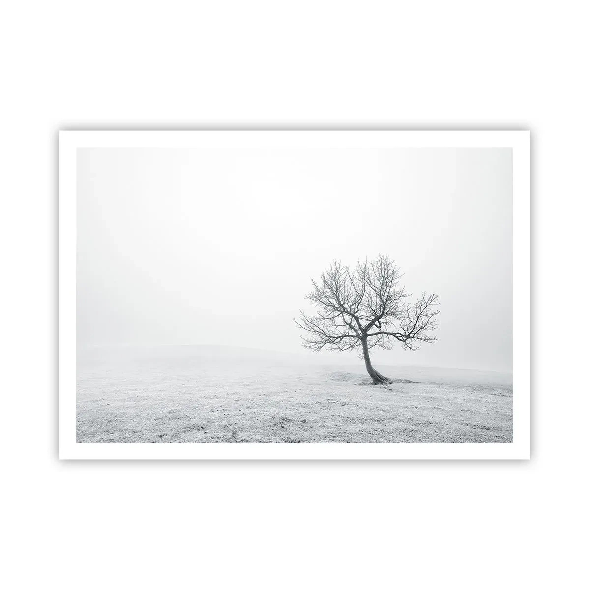 Póster - Un árbol solitario en la niebla invernal en un campo vacío. - 100x70cm - Contra la nada - Decoración de pared moderna para salón y dormitorio ARTTOR