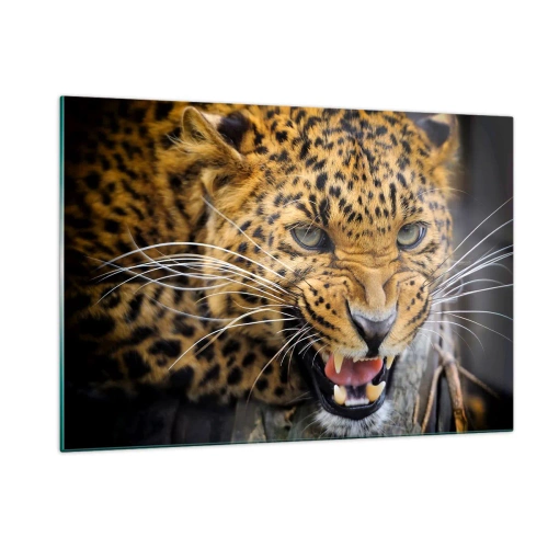 Cuadro sobre vidrio - Impresiones sobre Vidrio - Primer plano de un leopardo agresivo con detalles claros. - 120x80cm - ¡Atrás, te lo advierto! - Decoración de pared moderna para salón y dormitorio ARTTOR