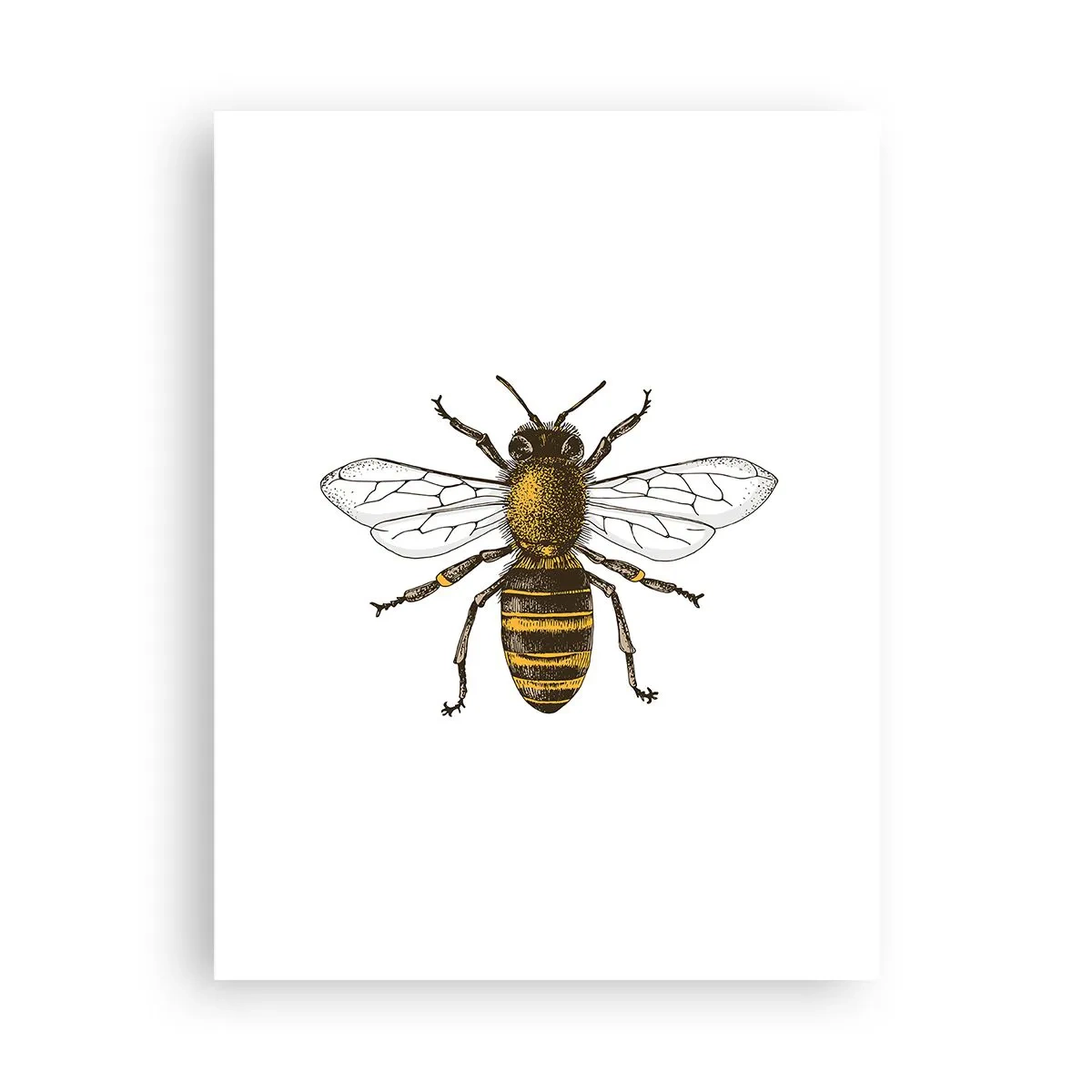 Póster - Bondad natural - 30x40 cm