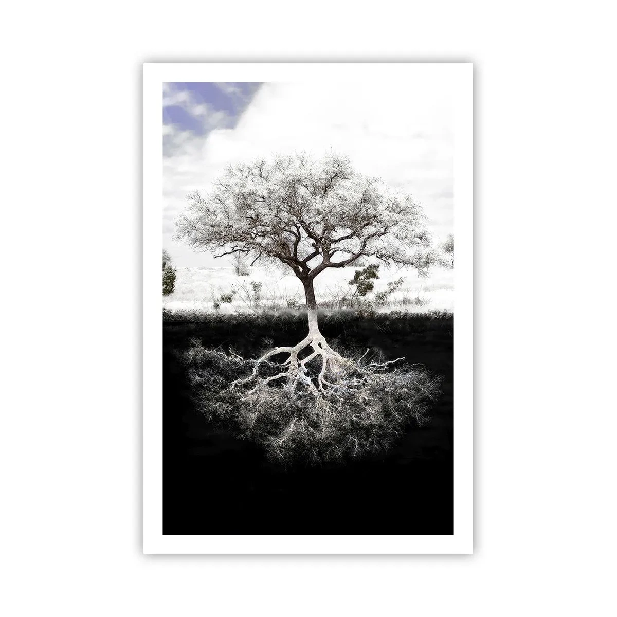 Póster - Descubrir la naturaleza del mundo - 61x91 cm