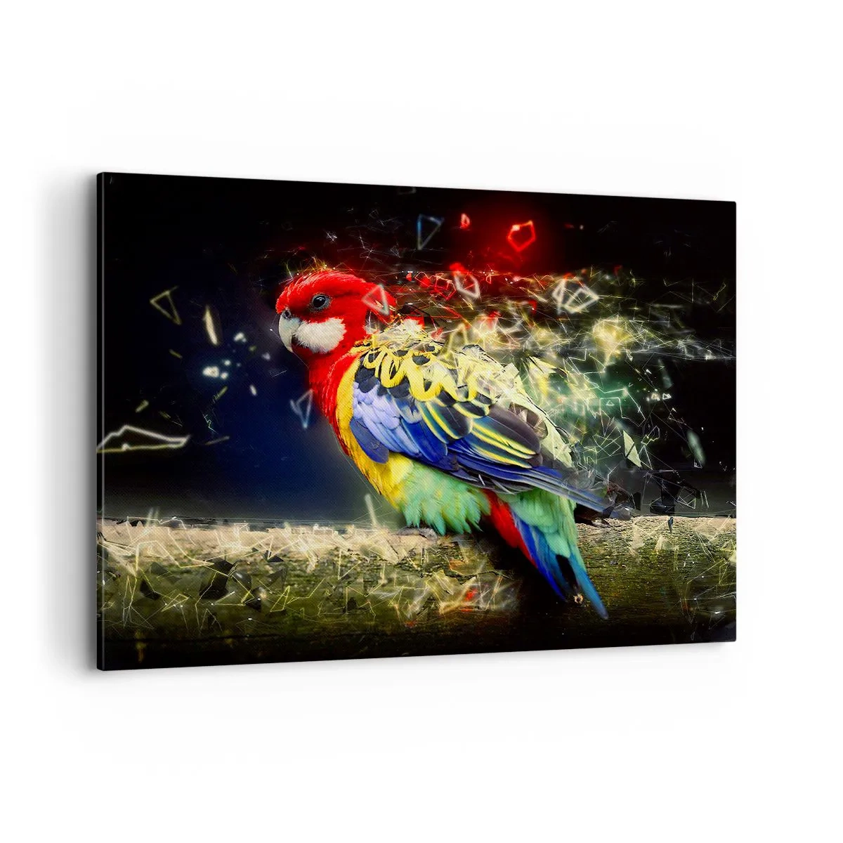 Cuadro sobre lienzo - Impresión de Imagen - Un loro en colores vivos sobre un fondo de efectos de luz. - 100x70cm - Un mensajero del glamour - Decoración de pared moderna para salón y dormitorio ARTTOR