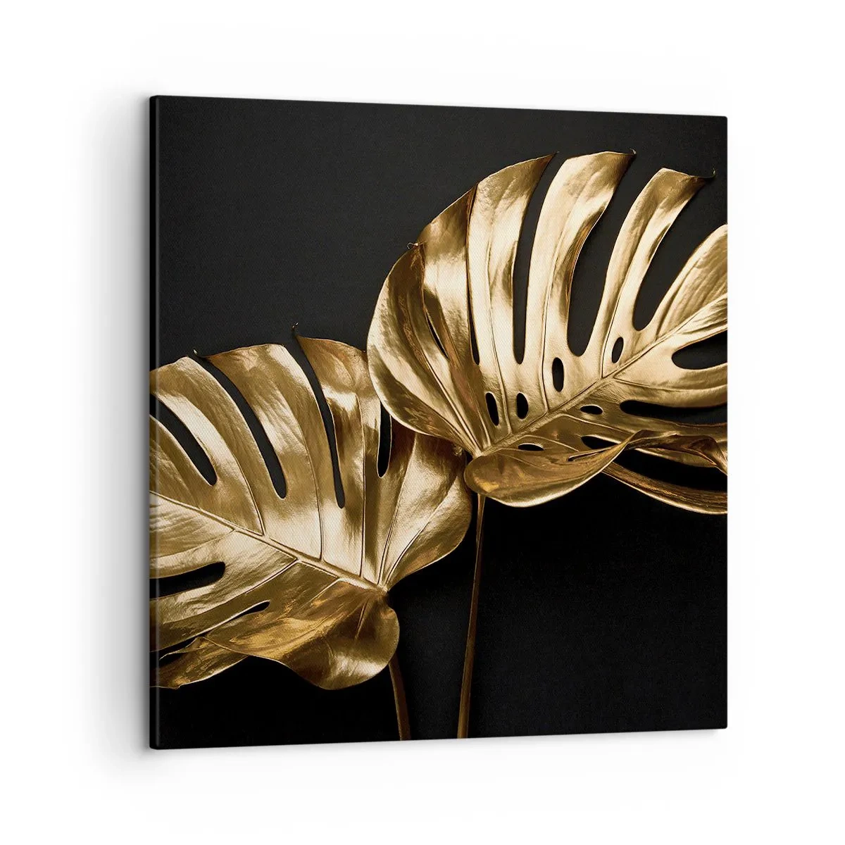 Cuadro sobre lienzo - Impresión de Imagen - Tesoros de la naturaleza - 50x50 cm