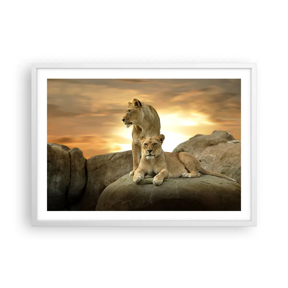 Póster en marco blanco - Majestuosidad real - 70x50 cm