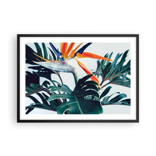 Póster en marco negro - Flor de Strelitzia rodeada de hojas bajo una luz brillante. - 70x50cm - La jaula del pájaro colorido - Decoración de pared moderna para salón y dormitorio ARTTOR