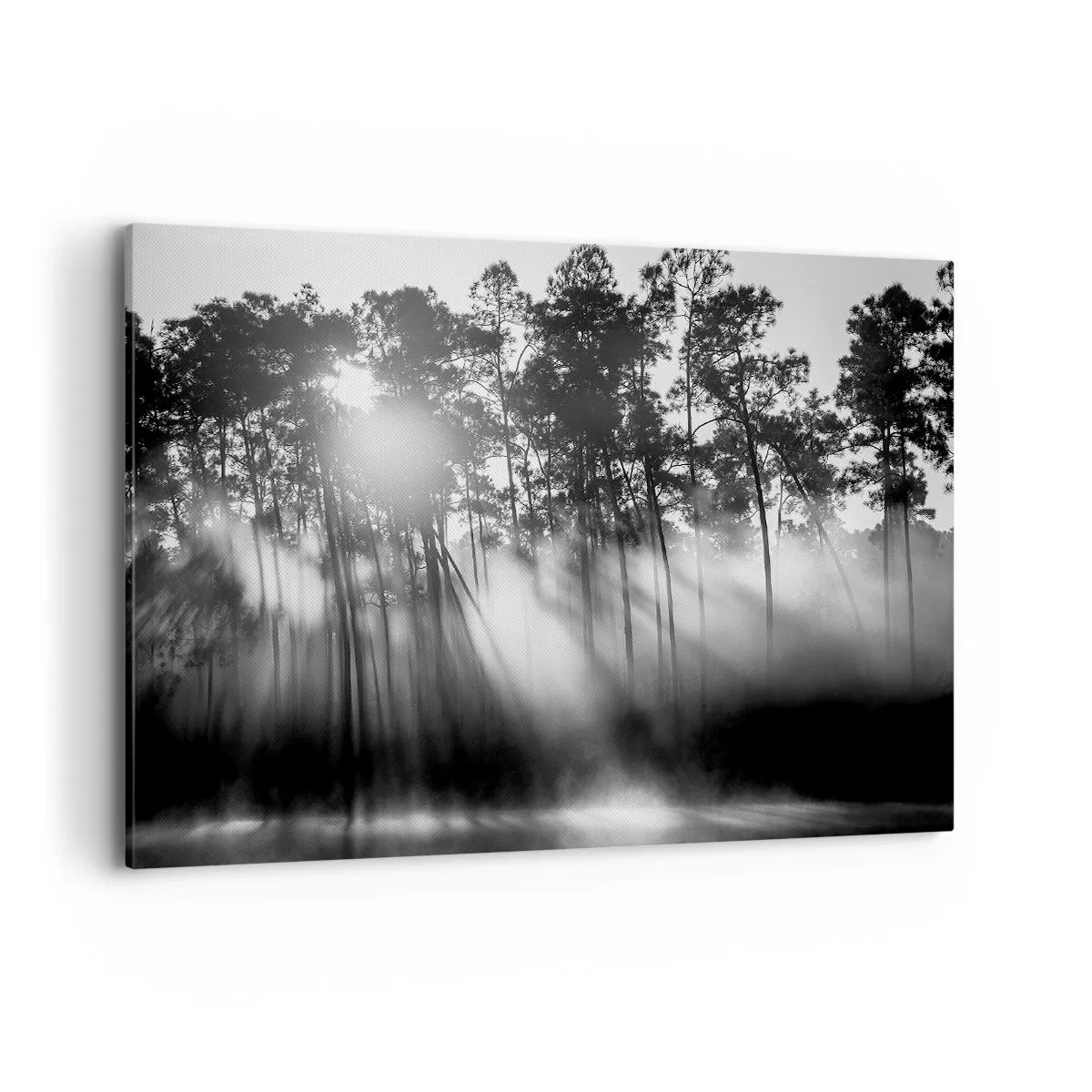 Cuadro sobre lienzo - Impresión de Imagen - Bosque blanco y negro en la niebla de la mañana. - 120x80cm - Sol imparable - Decoración de pared moderna para salón y dormitorio ARTTOR