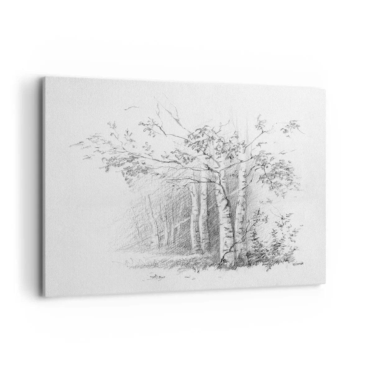 Cuadro sobre lienzo - Impresión de Imagen - Un dibujo de un bosque de abedules en un sutil boceto a lápiz. - 100x70cm - La luz de un bosque de abedules - Decoración de pared moderna para salón y dormitorio ARTTOR