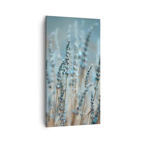 Cuadro sobre lienzo - Impresión de Imagen - Fragante pasto - 55x100 cm