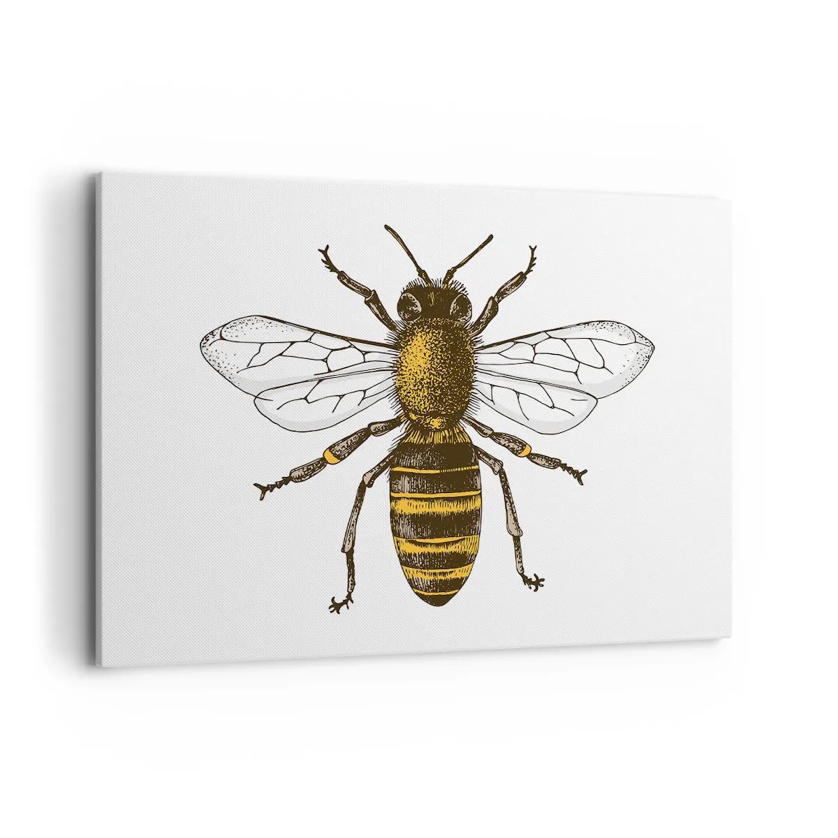 Cuadro sobre lienzo - Impresión de Imagen - Ilustración detallada de una abeja sobre un fondo blanco. - 120x80cm - Bondad natural - Decoración de pared moderna para salón y dormitorio ARTTOR
