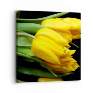 Cuadro sobre lienzo - Impresión de Imagen - Resucitado de puro sol - 30x30 cm