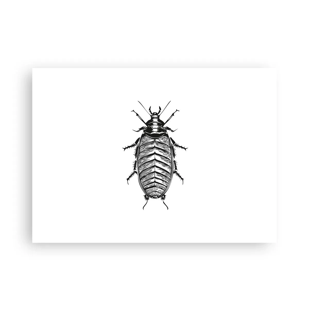 Póster - ¡Qué espécimen! - 70x50 cm