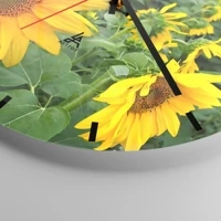 Esfera sin numeración, con rayas