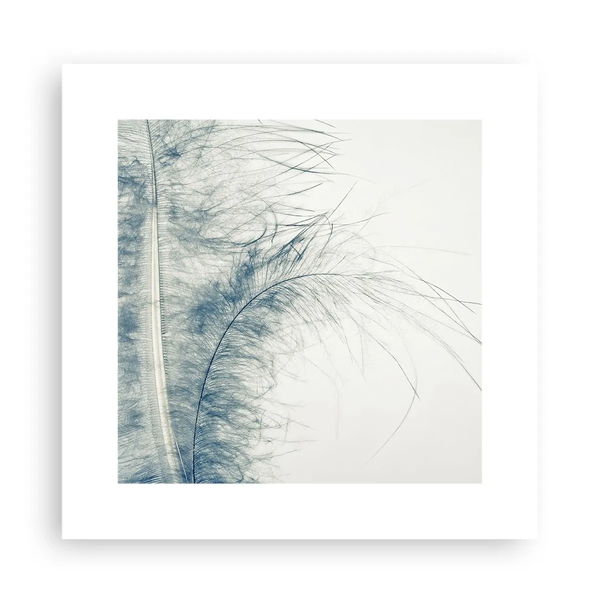 Póster - Susurro de la naturaleza - 30x30 cm