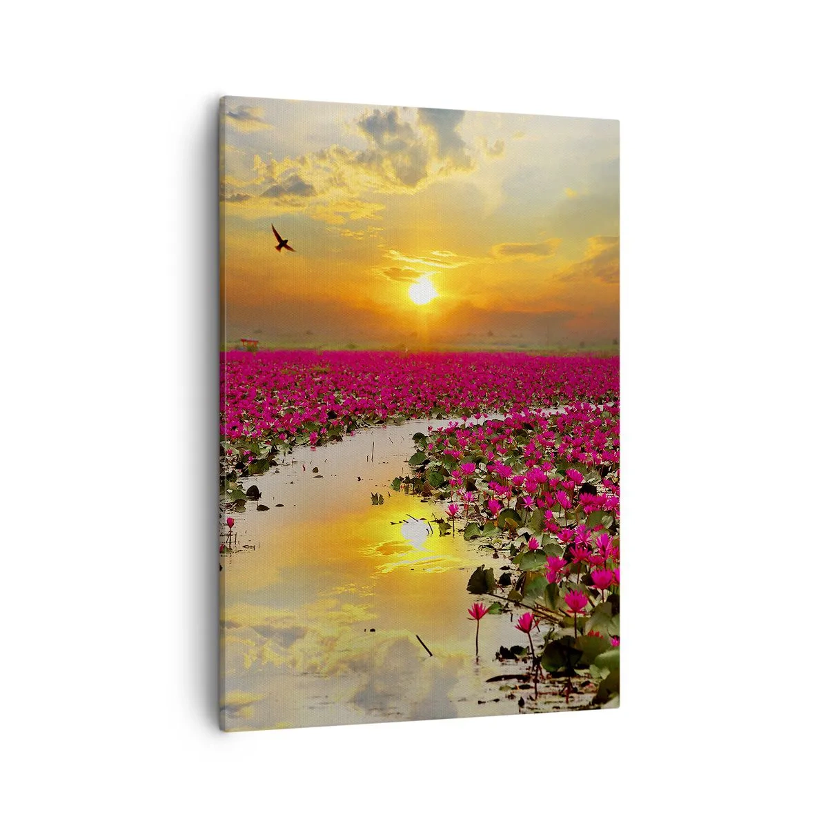 Cuadro sobre lienzo - Impresión de Imagen - Un campo de nenúfares rosados al atardecer. - 50x70cm - La vida secreta del lago - Decoración de pared moderna para salón y dormitorio ARTTOR
