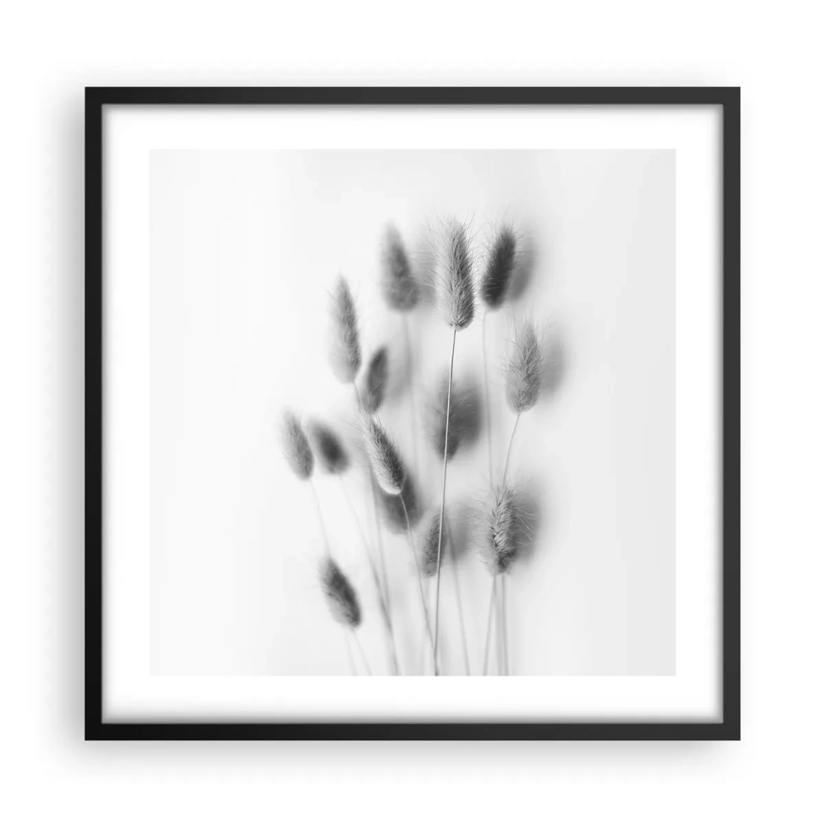 Póster en marco negro - Esponjas naturales - 50x50 cm