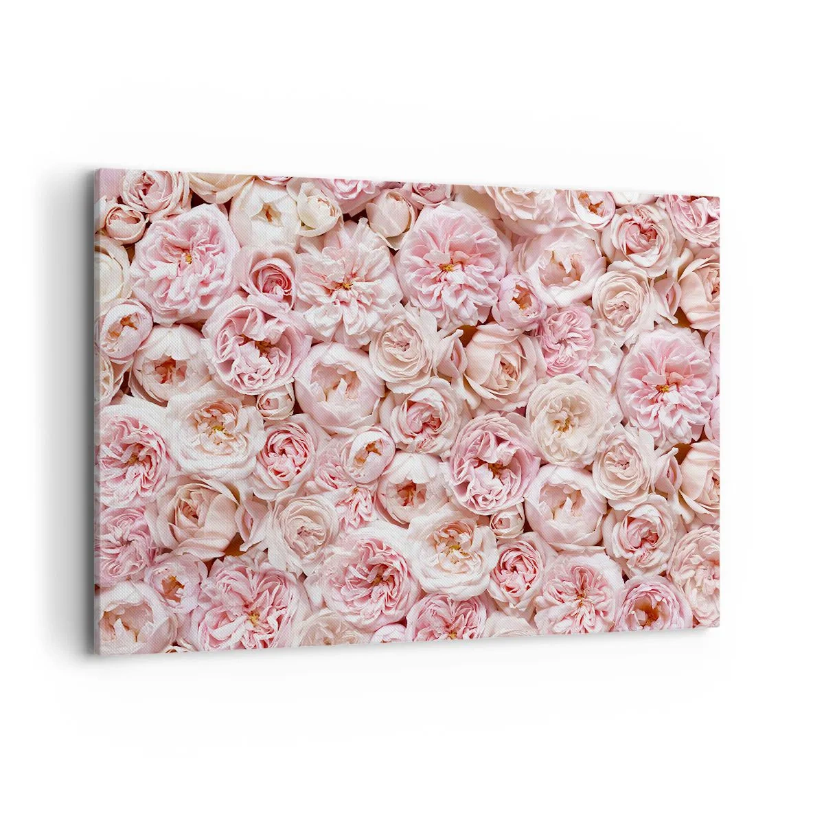 Cuadro sobre lienzo - Impresión de Imagen - Delicadas rosas en tonos rosa por toda la superficie. - 120x80cm - Salpicado de rosas - Decoración de pared moderna para salón y dormitorio ARTTOR