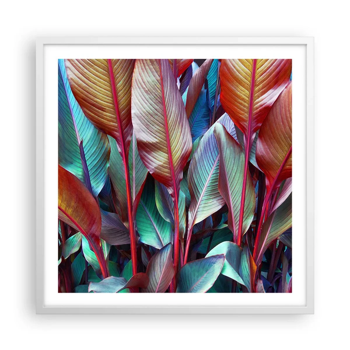 Póster en marco blanco - Un matorral de colores - 60x60 cm