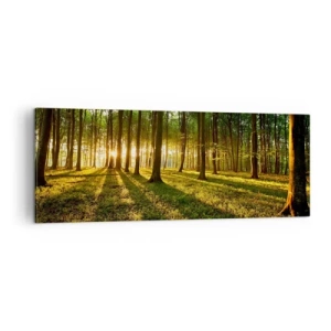 Cuadro sobre lienzo - Impresión de Imagen - El sol poniente en el bosque caducifolio - 140x50cm - Una fotografía de todos los manantiales - Decoración de pared moderna para salón y dormitorio ARTTOR