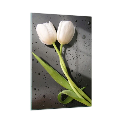 Cuadro sobre vidrio - Impresiones sobre Vidrio - Tulipanes blancos sobre un fondo con gotas de agua. - 50x70cm - Primavera - Decoración de pared moderna para salón y dormitorio ARTTOR