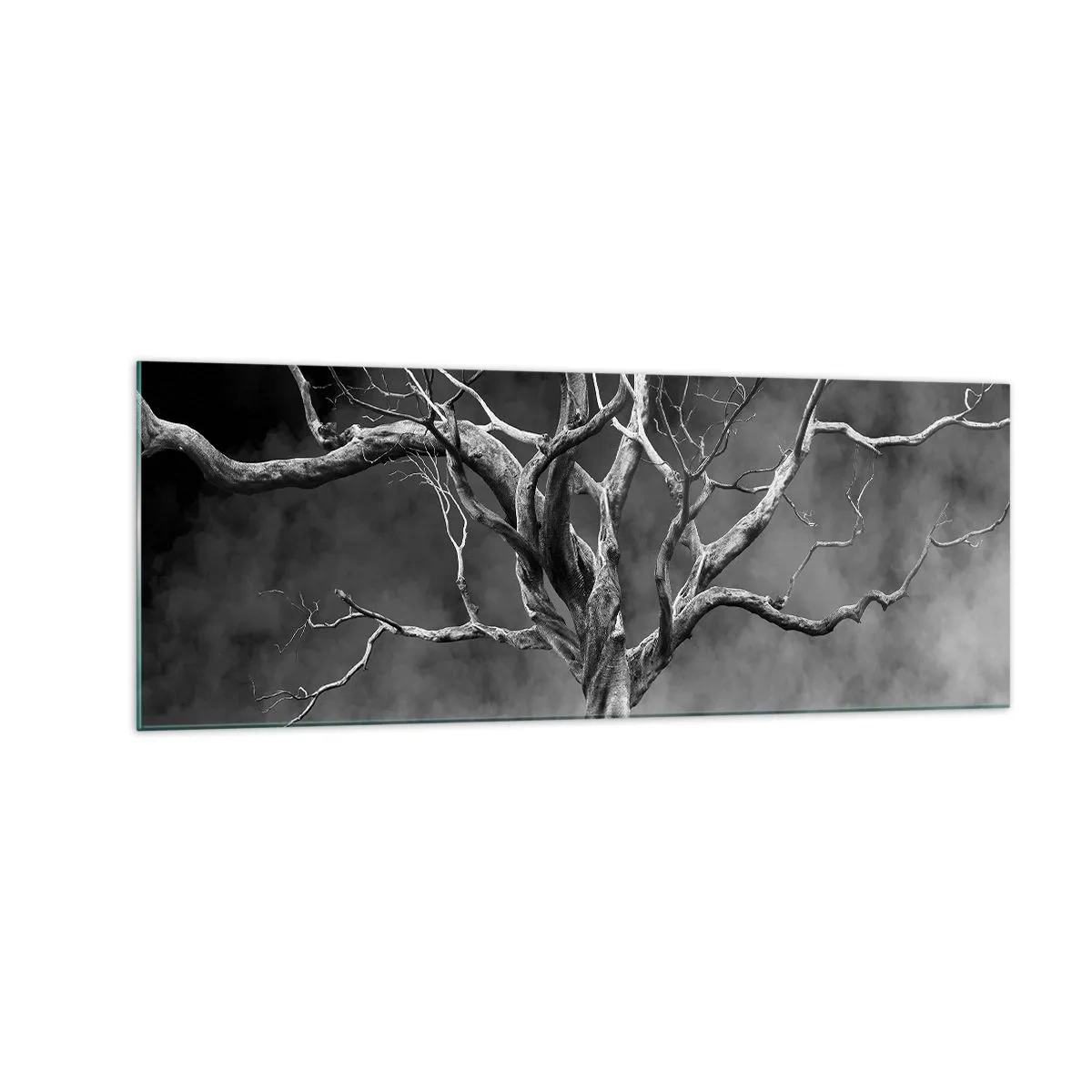 Cuadro sobre vidrio - Impresiones sobre Vidrio - Un árbol seco en blanco y negro contra la niebla. - 140x50cm - Primordial y sagrado - Decoración de pared moderna para salón y dormitorio ARTTOR