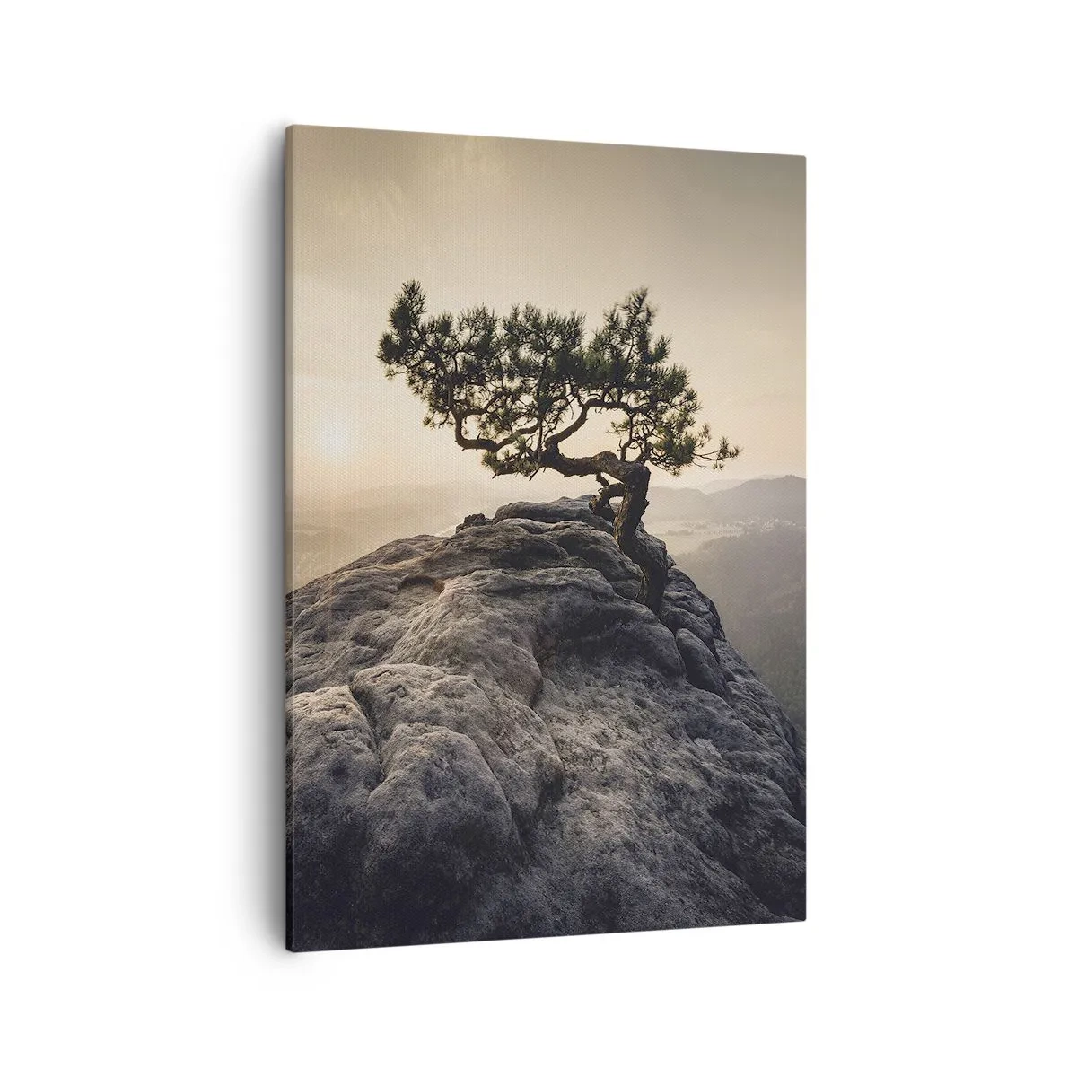 Cuadro sobre lienzo - Impresión de Imagen - Un árbol solitario en un pico rocoso a la luz del sol. - 50x70cm - La vida se abre camino - Decoración de pared moderna para salón y dormitorio ARTTOR