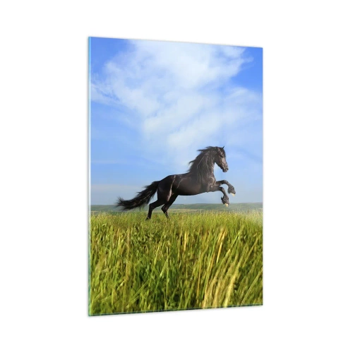 Cuadro sobre vidrio - Impresiones sobre Vidrio - Un caballo negro galopando contra un cielo azul y un prado verde. - 50x70cm - Emocionante manifiesto de libertad - Decoración de pared moderna para salón y dormitorio ARTTOR