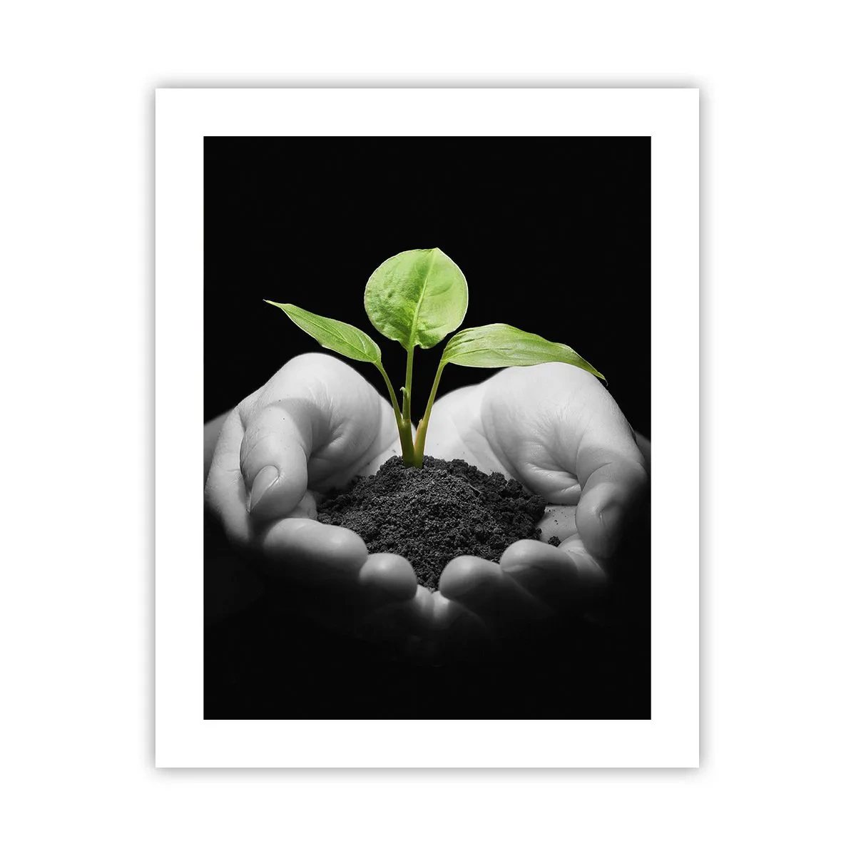 Póster - Amo la naturaleza, la protejo - 40x50 cm