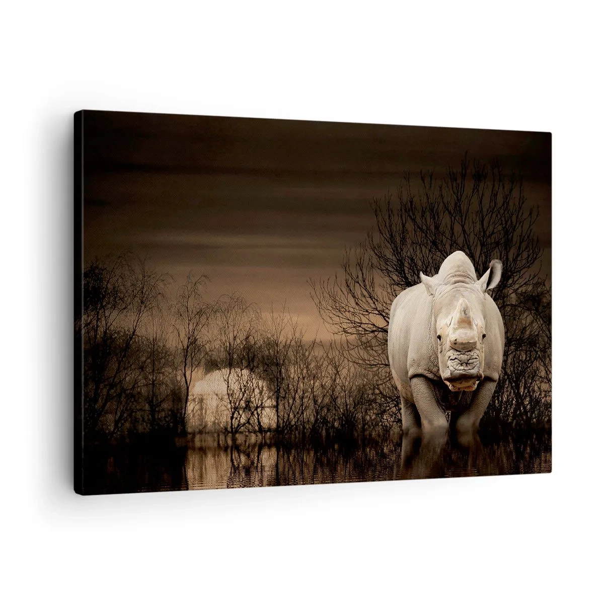 Cuadro sobre lienzo - Impresión de Imagen - Rinoceronte entre árboles al atardecer, naturaleza salvaje. - 70x50cm - El blanco contra la naturaleza - Decoración de pared moderna para salón y dormitorio ARTTOR