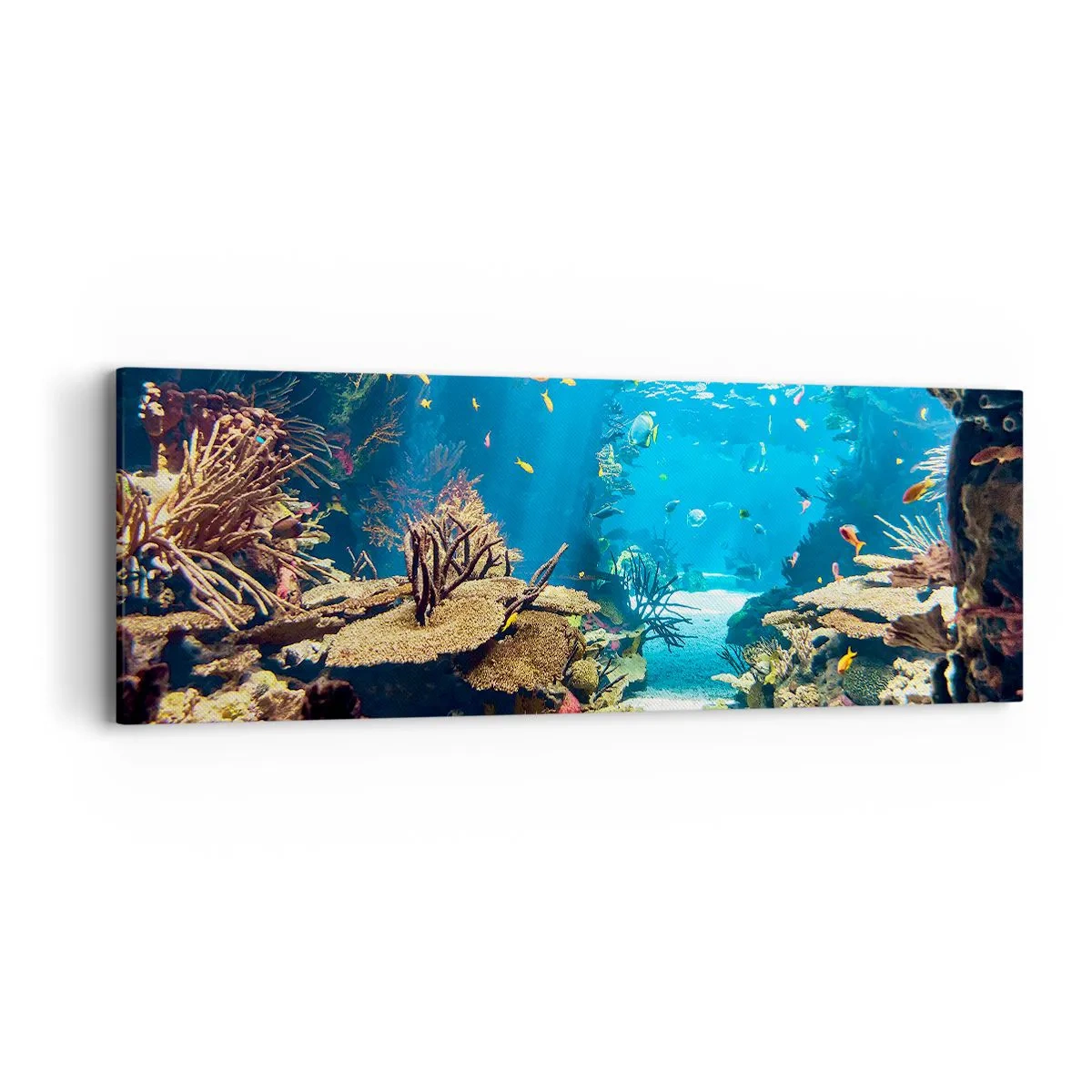 Cuadro sobre lienzo - Impresión de Imagen - Ni siquiera has soñado - 90x30 cm