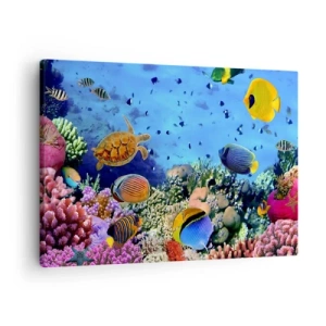 Cuadro sobre lienzo - Impresión de Imagen - Arrecife de coral con peces de colores y una tortuga marina. - 70x50cm - Y qué sabemos de la vida... - Decoración de pared moderna para salón y dormitorio ARTTOR