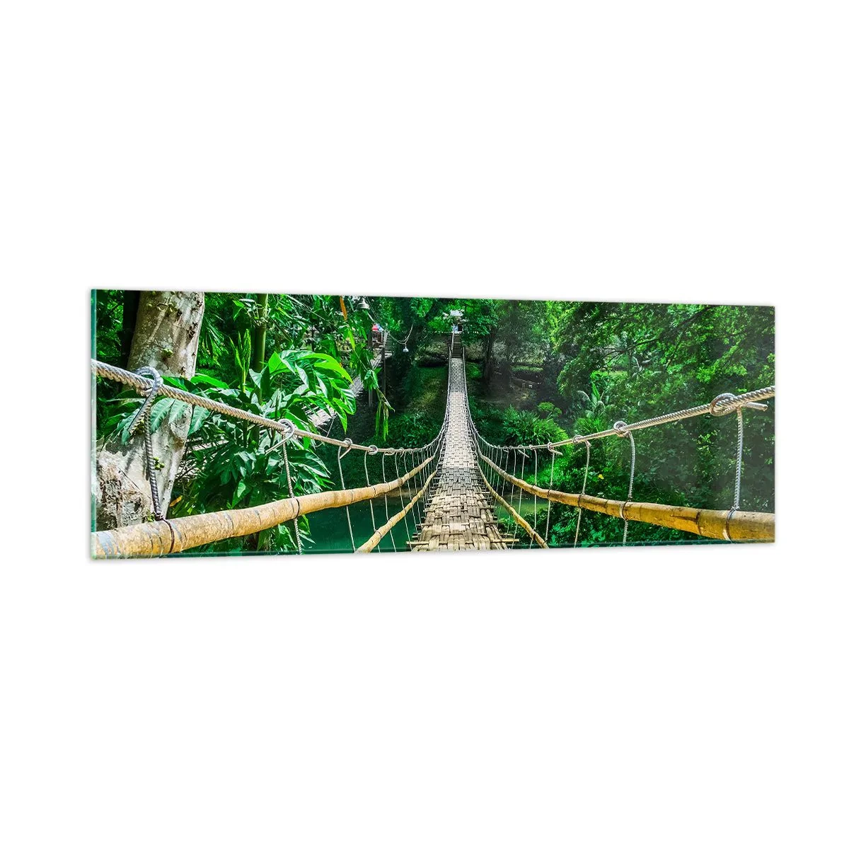 Cuadro sobre vidrio - Impresiones sobre Vidrio - Puente colgante sobre la vegetación - 90x30 cm