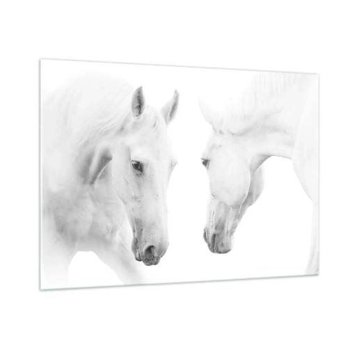 Cuadro sobre vidrio - Impresiones sobre Vidrio - Dos caballos blancos uno frente al otro sobre un fondo claro. - 100x70cm - ¿Es esto realmente la amistad...? - Decoración de pared moderna para salón y dormitorio ARTTOR