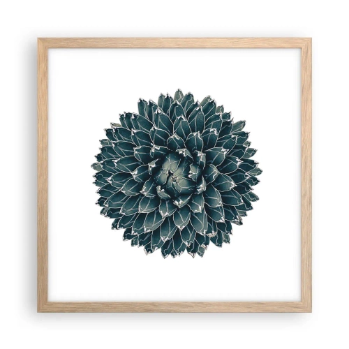 Póster en marco roble claro - Estrella del desierto - 40x40 cm