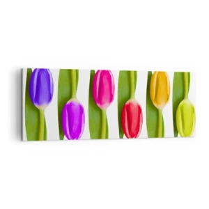 Cuadro sobre lienzo - Impresión de Imagen - Tulipanes multicolores dispuestos en fila sobre un fondo blanco. - 140x50cm - Composición del arco iris - Decoración de pared moderna para salón y dormitorio ARTTOR