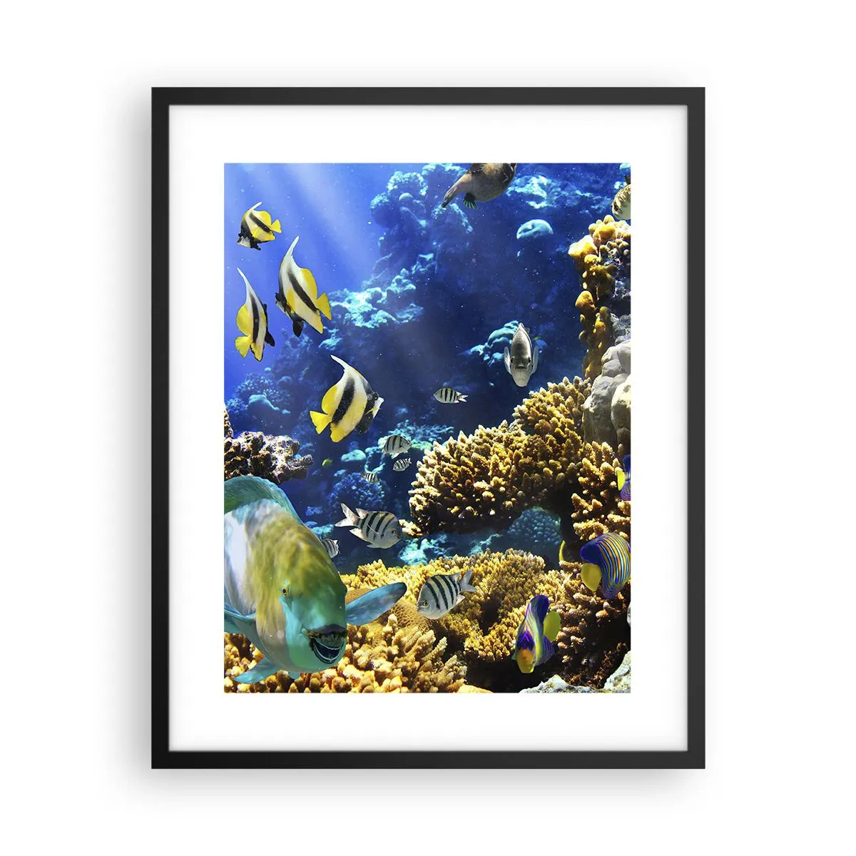 Póster en marco negro - Vacaciones submarinas - 40x50 cm