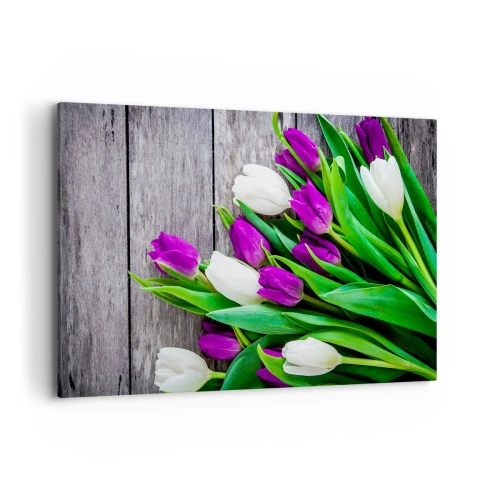 Cuadro sobre lienzo - Impresión de Imagen - Un ramo de tulipanes morados y blancos sobre un fondo de madera. - 120x80cm - El día de la fiesta de la primavera - Decoración de pared moderna para salón y dormitorio ARTTOR