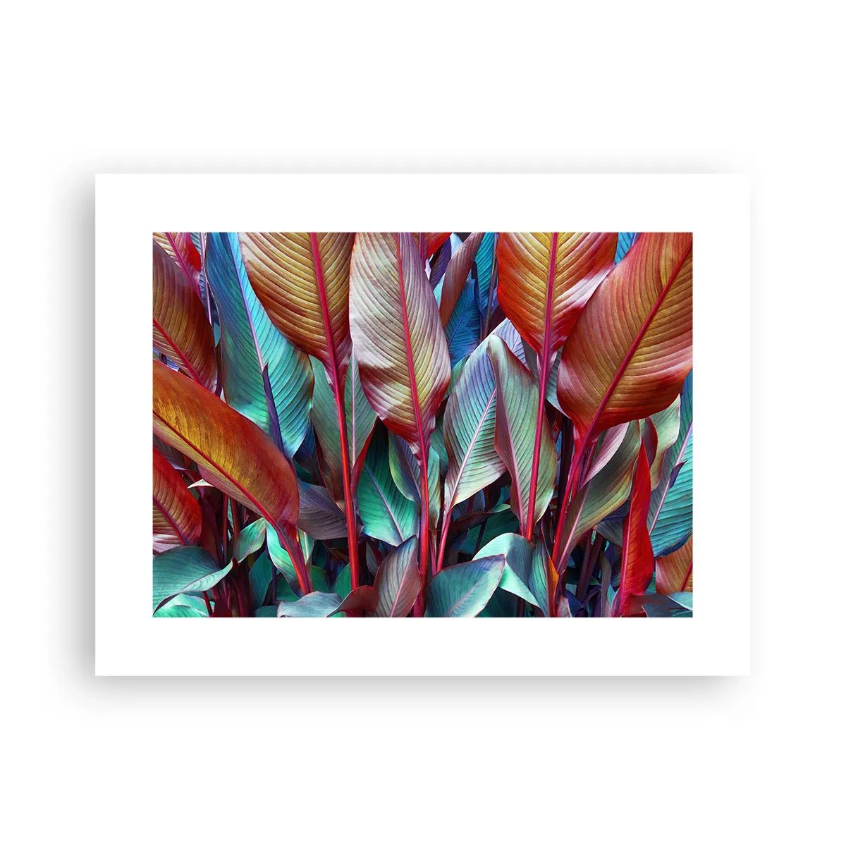 Póster - Un matorral de colores - 40x30 cm