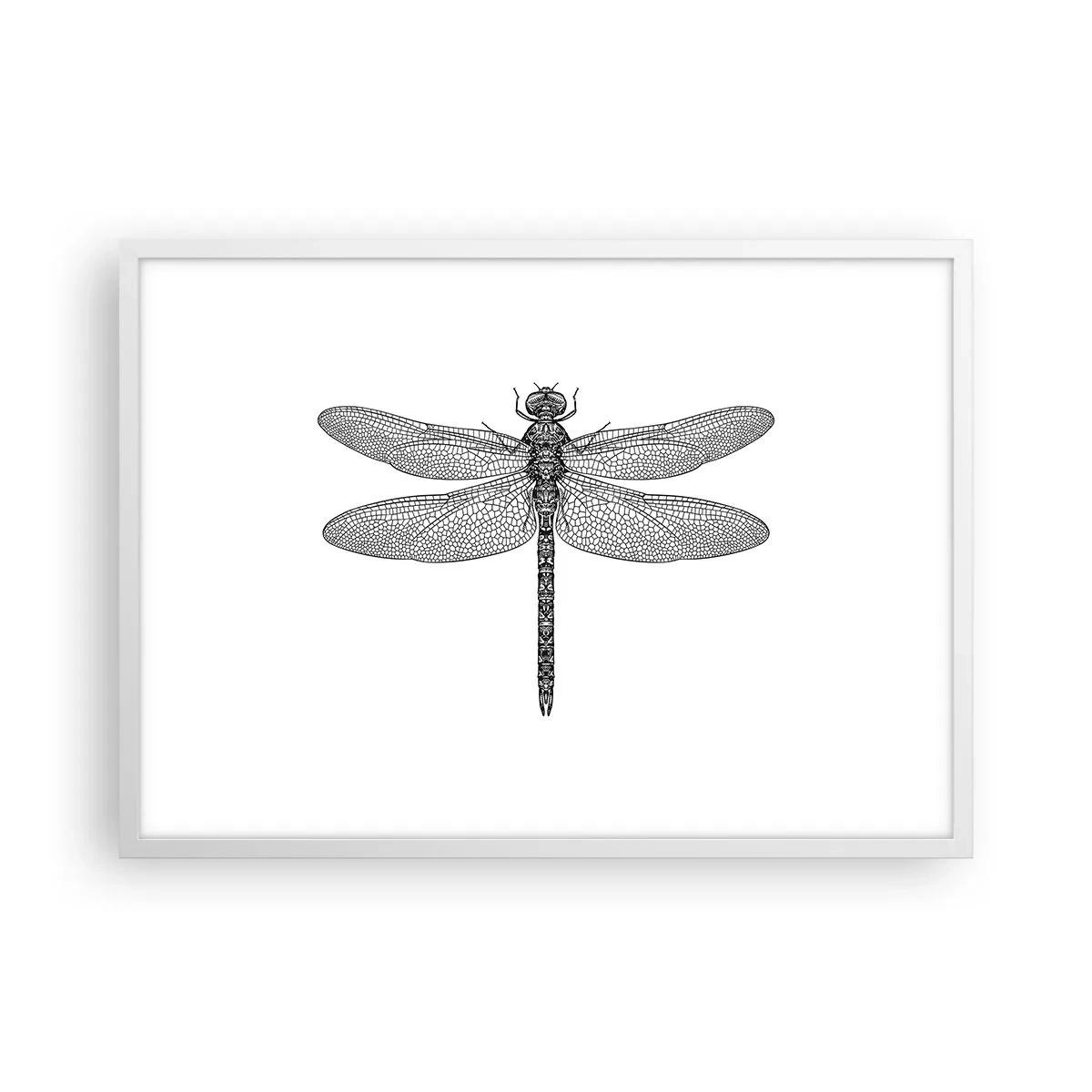 Póster en marco blanco - Precisión de la naturaleza - 70x50 cm